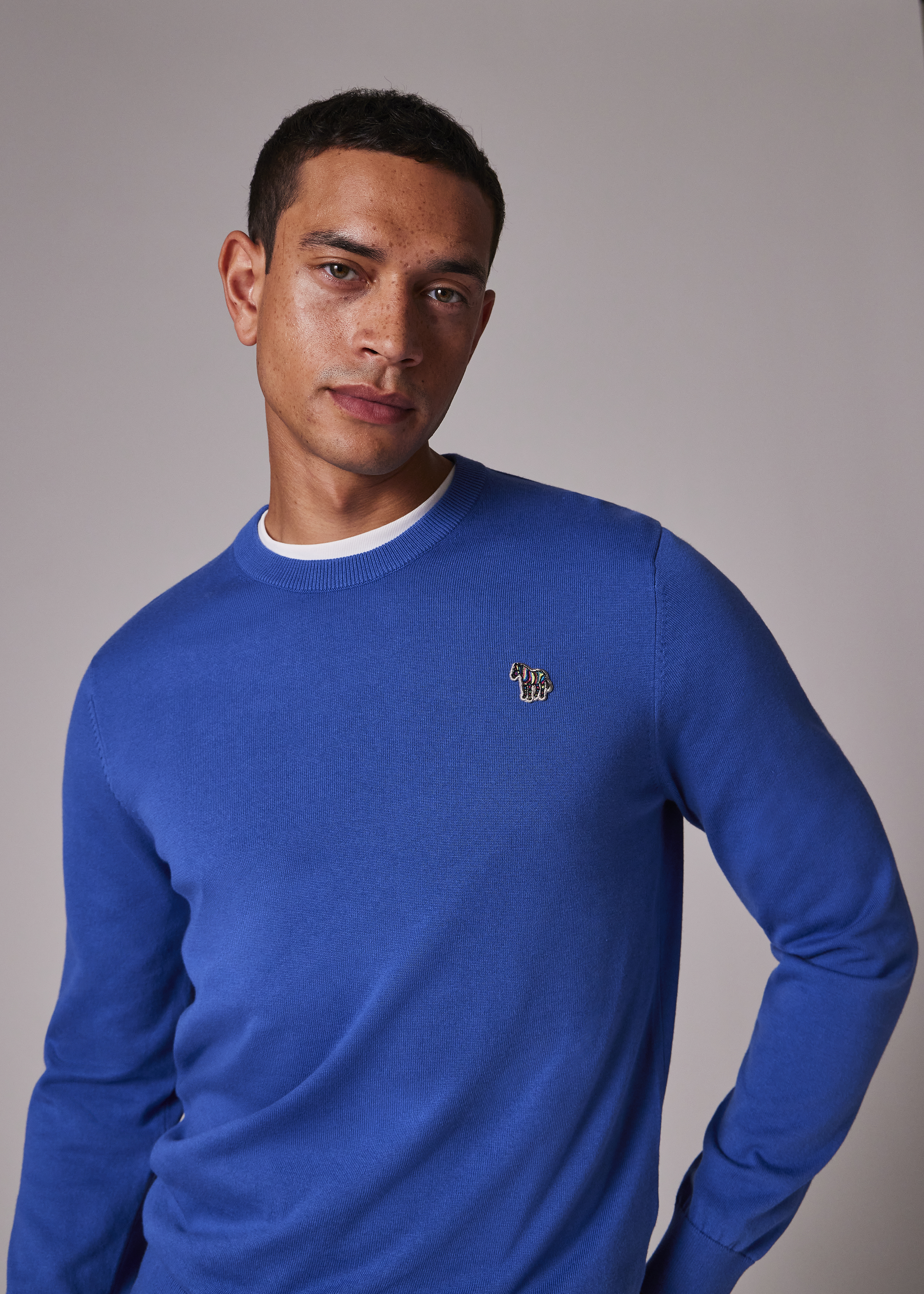【定価94,500円】Paul Smith by L.Cerruti（7442） Men's Royal Blue Organic Cotton Half Zip Zebra Logo Sweater