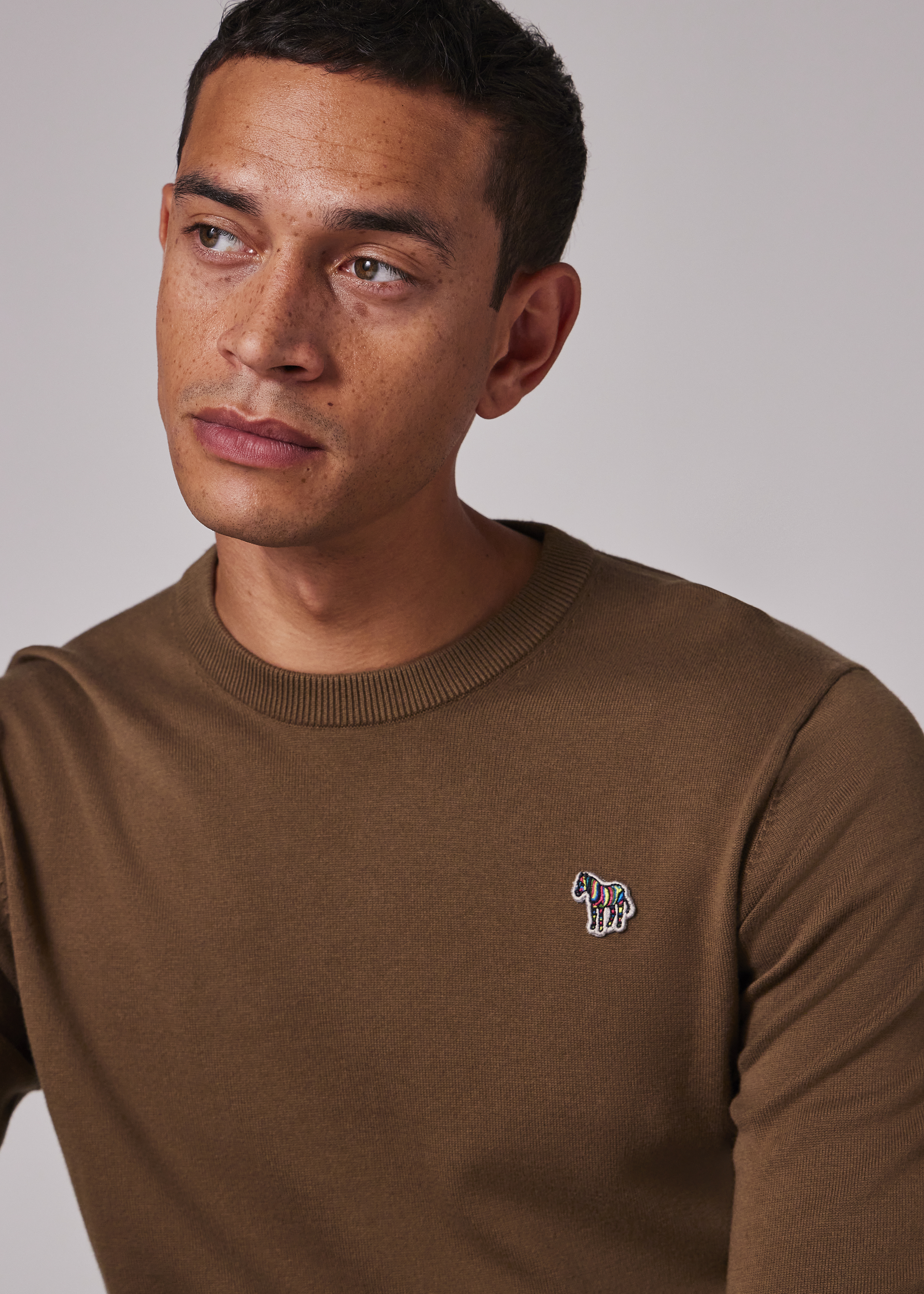 Khaki Organic Cotton Zebra Logo Sweater