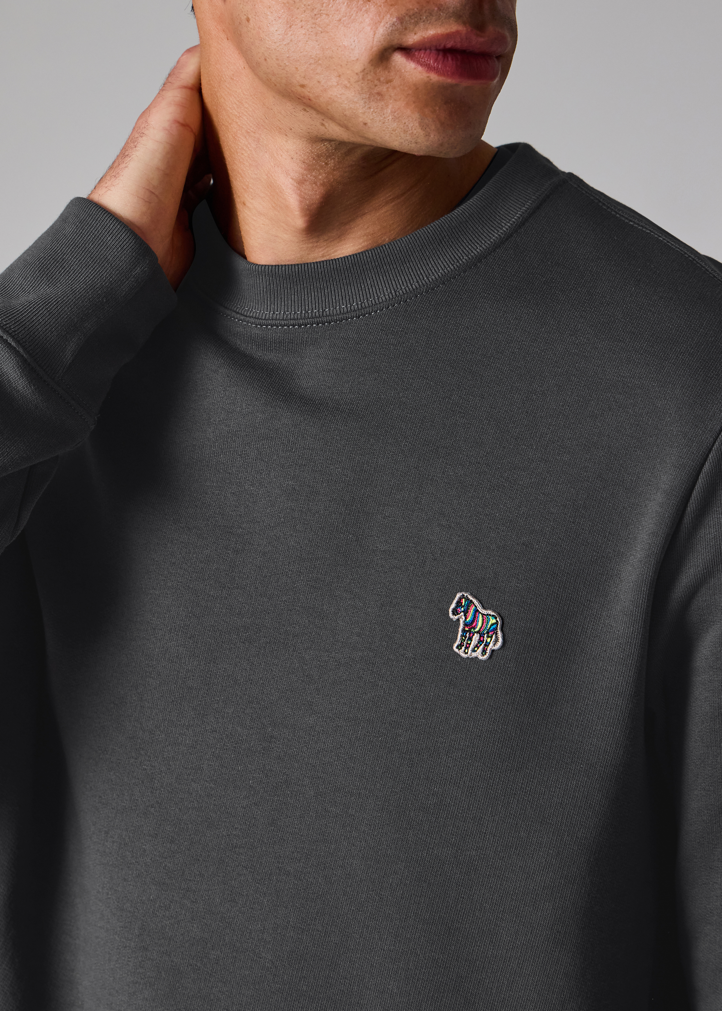 Charcoal Organic Cotton Zebra Logo Sweatshirt