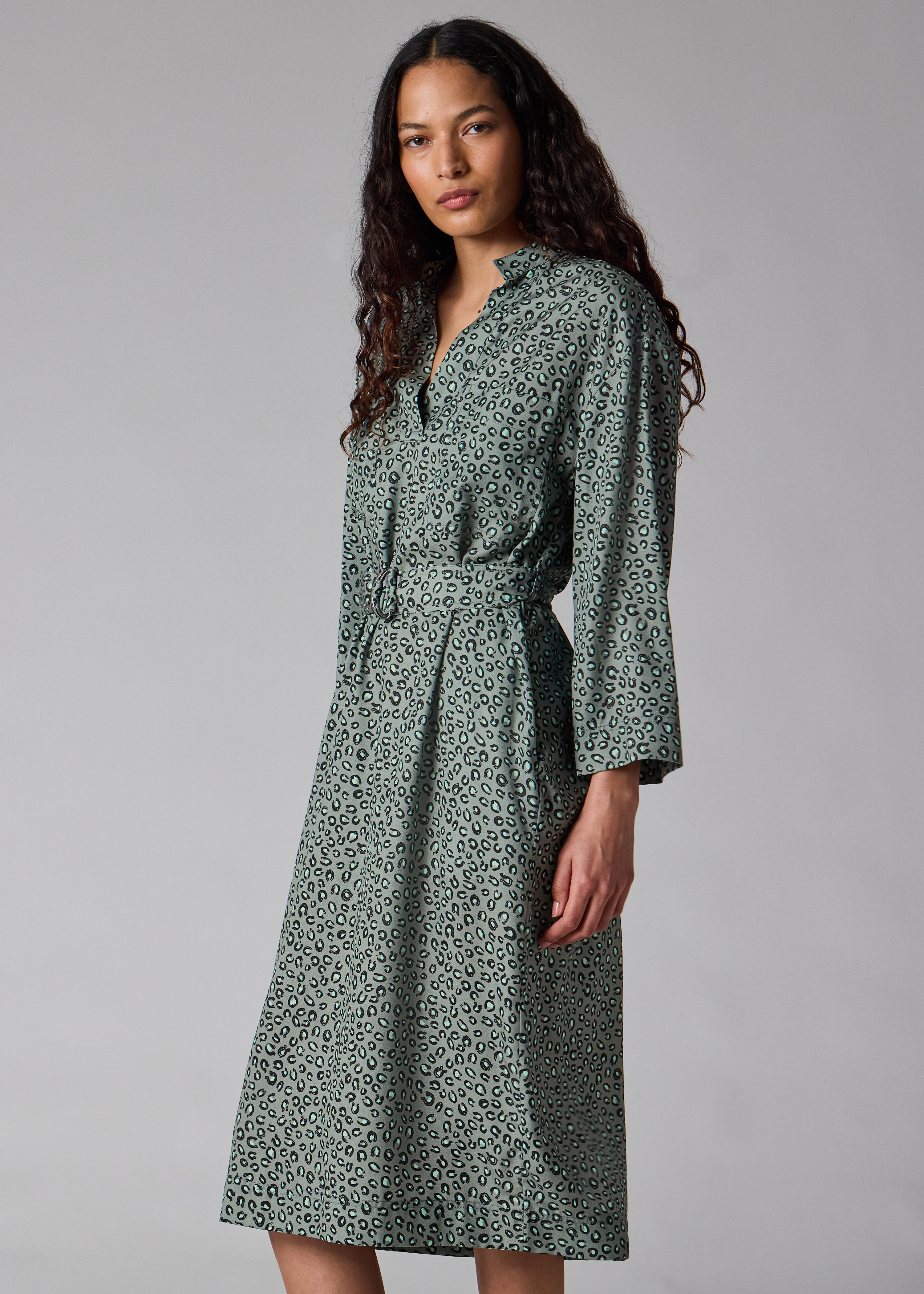 Women's Blue 'Animal' Print Dress