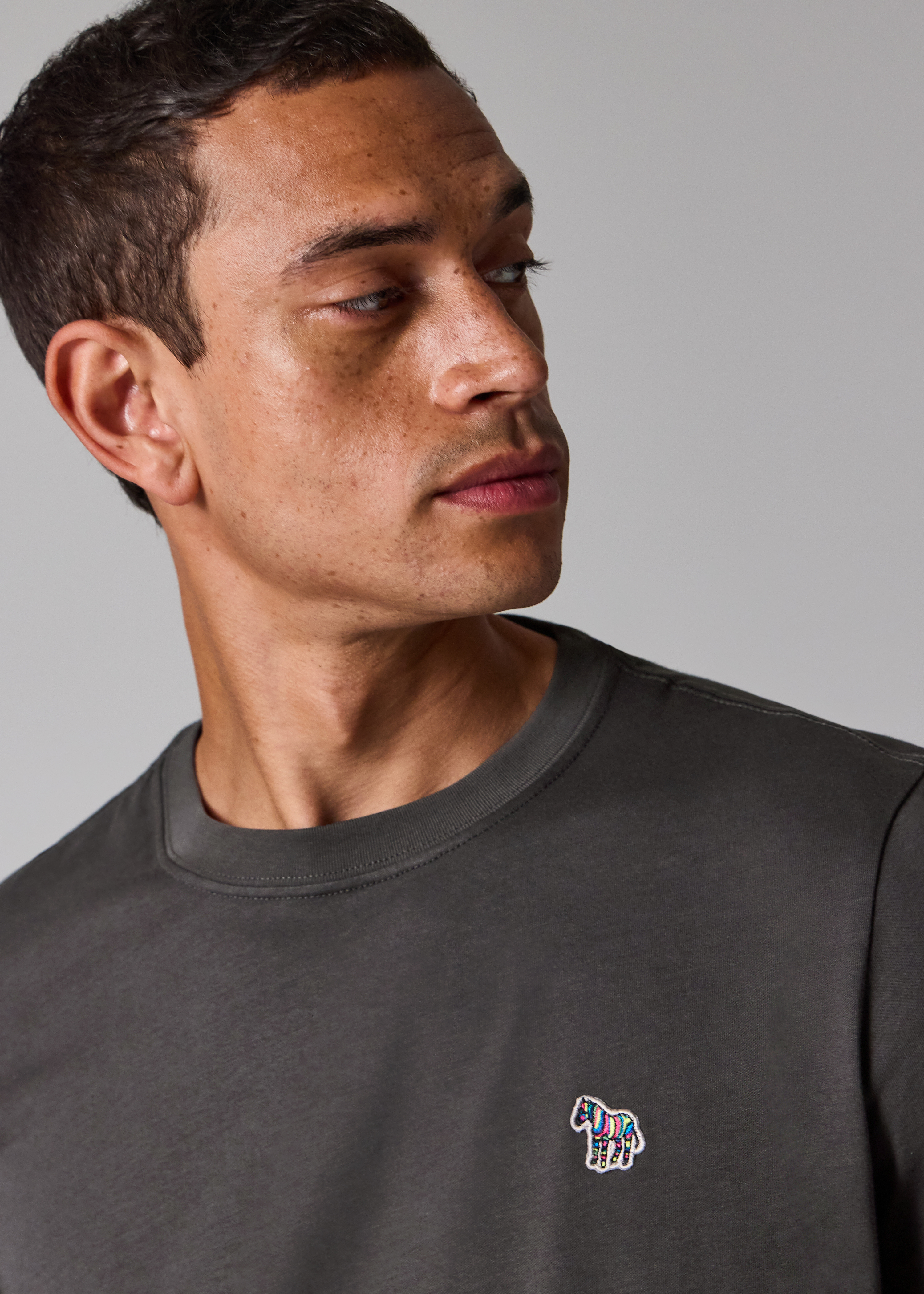 Steel Grey Organic Cotton Zebra Logo T-Shirt