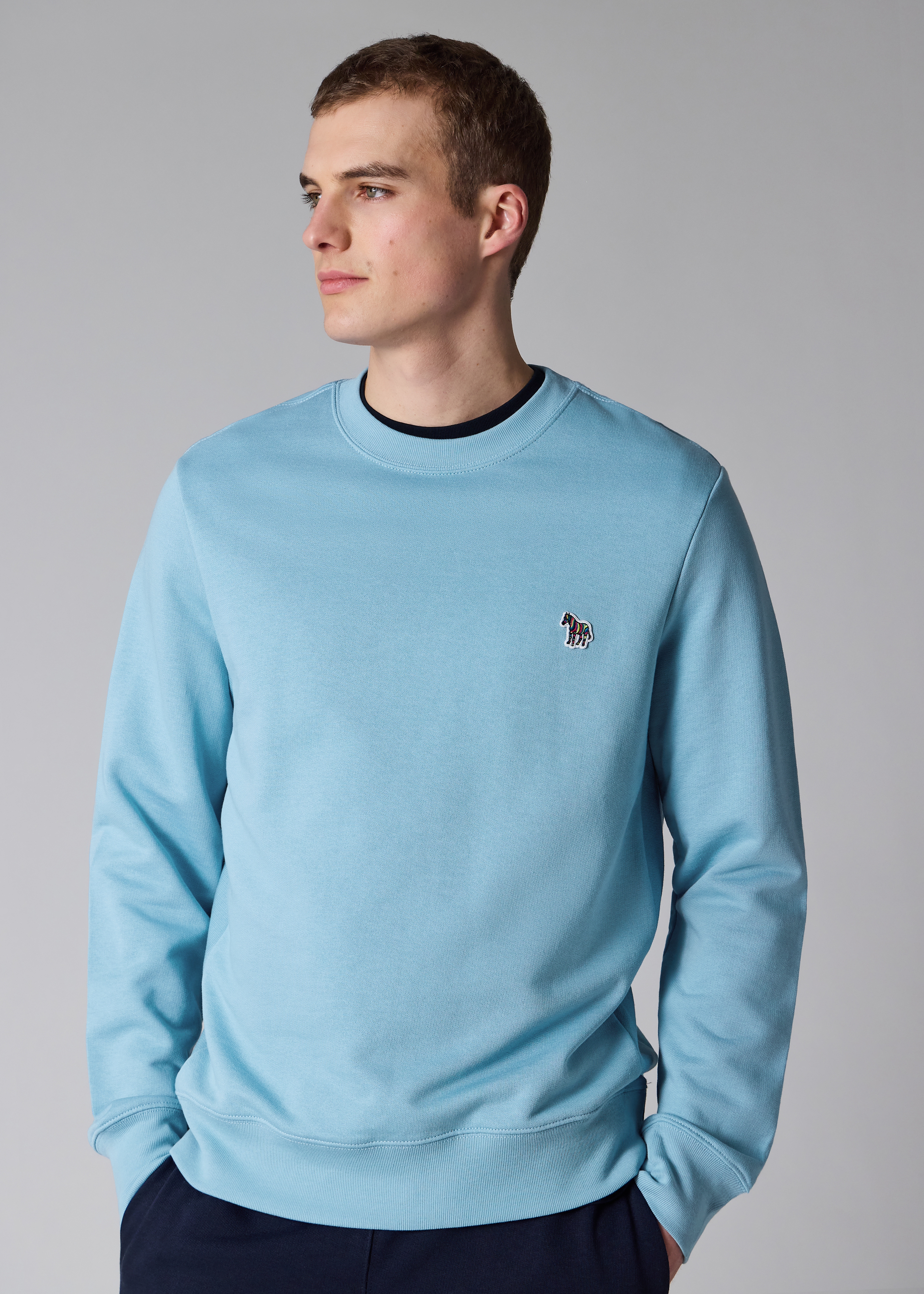 Sky Blue Organic Cotton Zebra Logo Sweatshirt